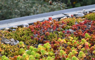 the cost of Combs Ford green roof installation