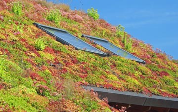 Combs Ford living roof systems